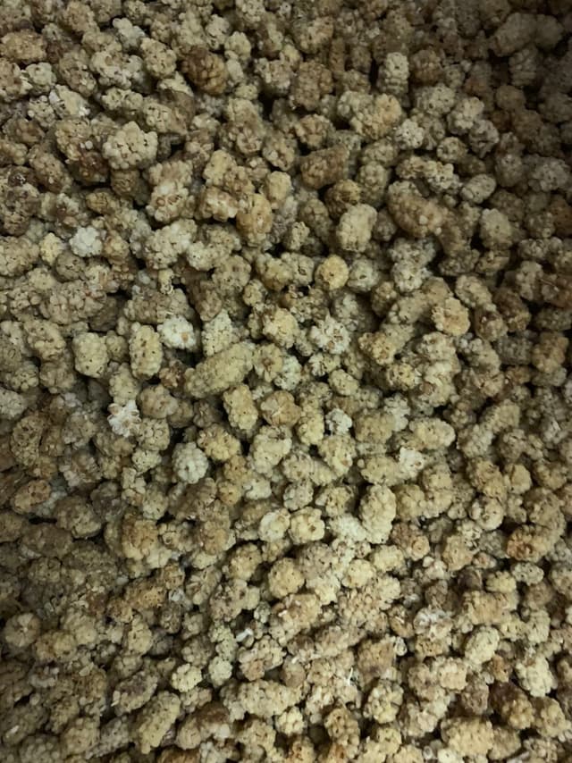 Dried White Mulberries (Toot Khoshk)