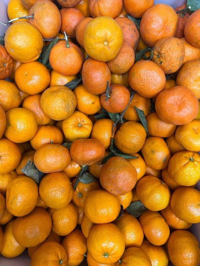 Mandarin Oranges (Nāranj)