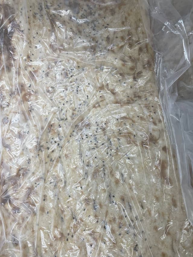 Taftoon Bread